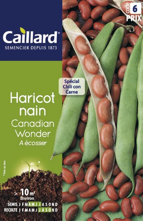 Graines de Haricot Nain À Écosser Flageolet Canadian Wonder Gamm vert