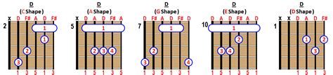 How to Play D major Chord on Guitar, Ukulele and Piano