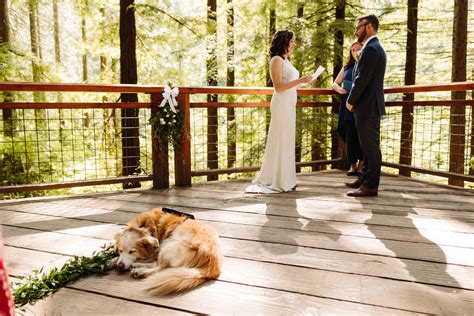 Hoyt Arboretum Redwood Observation Deck Wedding — Kai Hayashi