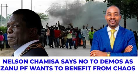 Nelson Chamisa Says No To Demos As Zanu Pf Seeks To Benefit From The