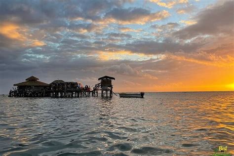 Zipline, YS Falls & Pelican Bar Private Tour From Montego Bay