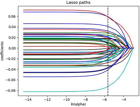 The LASSO Path Plot Of The M LR In The Training Set After The