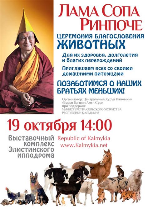 Republic of Kalmykia » Animal blessing ceremony