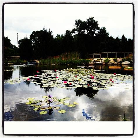 At Reiman Gardens #isu Ames #iowa | Brian Frank