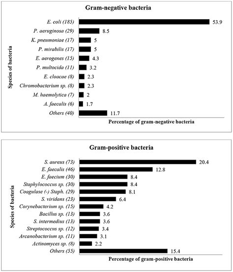 Frontiers High Levels Of Antibiotic Resistance In Isolates From