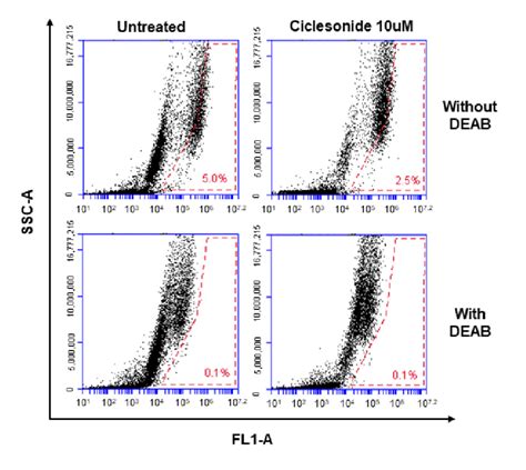 Aldh Assay A549 Cancers Were Incubated In A 6 Well Plate With Download Scientific Diagram