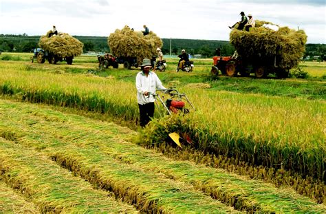 Cách mạng công nghiệp 4 0 Cơ hội và thách thức cho ngành nông nghiệp