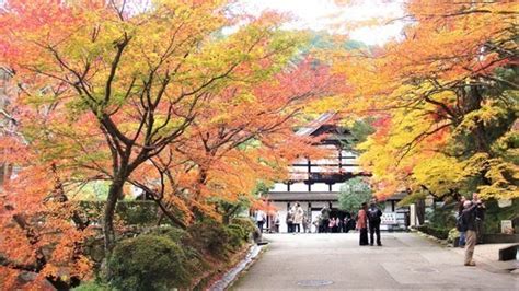 南禅寺 （京都市左京区） 臨済宗南禅寺派大本山: お寺の風景と陶芸