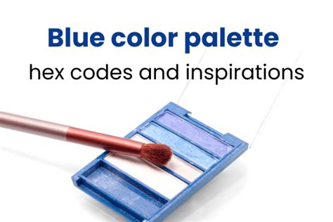 Top Blue Color Palette Inspirations & Hex Codes for 2024