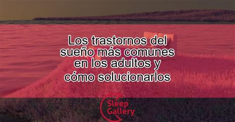 Los Trastornos Del Sueño Más Comunes En Los Adultos Y Cómo Solucionarlos Sleep Gallery