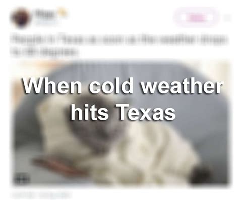 Texans Rejoice With Memes As Cold Front Sweeps Through The State