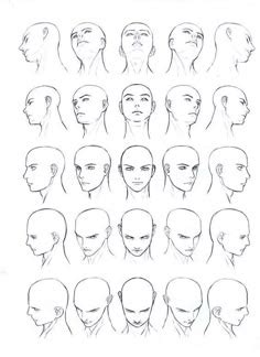 Head Angle Drawing Reference