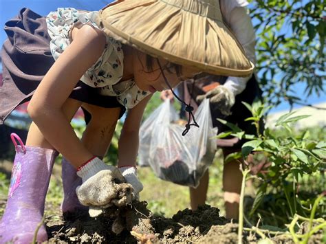 霧峰區農會 民生農場｜食農教育資訊整合平臺