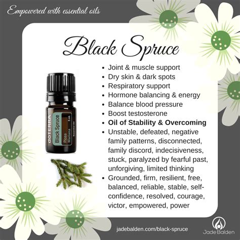 Black Spruce Essential Oil By Doterra Jades Oil Cards Jade Balden