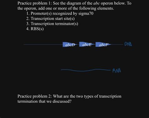 Solved Practice Problem See The Diagram Of The Abc Operon Chegg