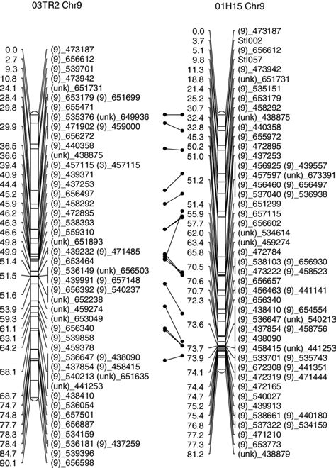 Map comparison between chromosome 9 genetic maps generated for 03Tr2 ...