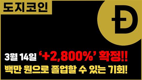 도지코인 2800 다시는 없을 마지막 기회 도지코인 스페이스x Youtube