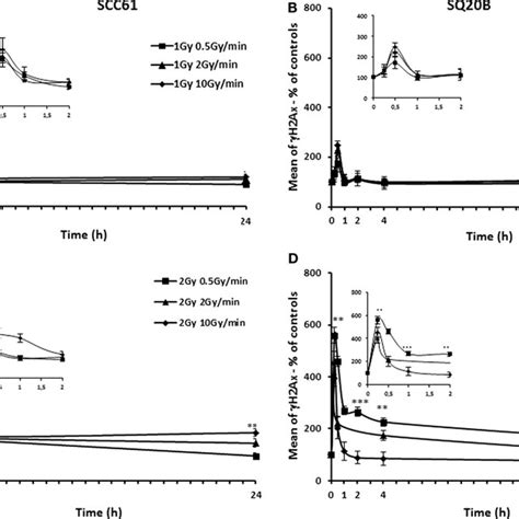 Kinetic study of γH2AX foci SCC61 A and SQ20B cells B were