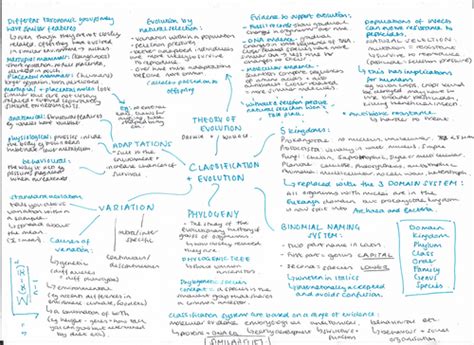 Ocr Biology A Level Revision Teaching Resources Artofit