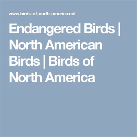 Endangered Birds | North American Birds | Birds of North America ...