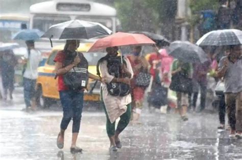 Rain Fury Imd Issues Orange Alert For Palghar Raigad Ratnagiri