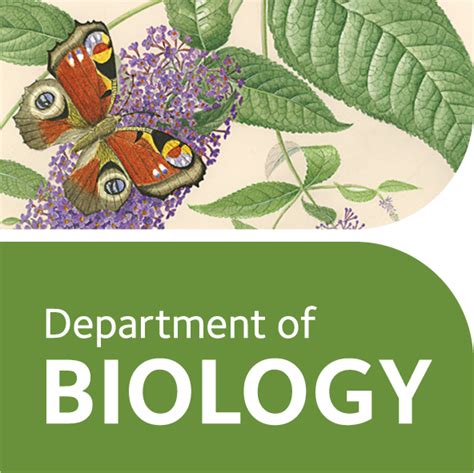 New Look For The Department Of Biology Department Of Biology