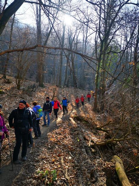 COLLI EUGANEIIL SENTIERO DEL MONTE VENDA Sottosezione Di Noventa