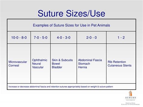 PPT - Wound Closure PowerPoint Presentation, free download - ID:146662