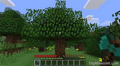 Minecraft Oak Wood Log - Minecraft Tutorial & Guide