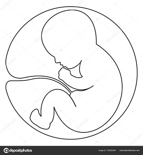 Dessin Bebe Dans Le Ventre De Maman Bébé par le siège la position