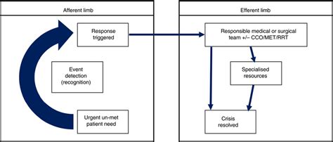 Conceptual Model Of The Rapid Response System Rrs Colour Figure Can