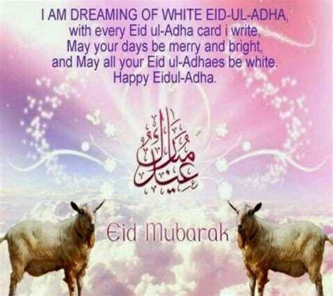 Eid Ul Adha Wallpapers Wallpaper Cave