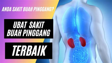 Ubat Sakit Buah Pinggang Terbaik Paling Mujarab 60196417269 Youtube