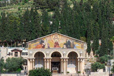 The Church of All Nations or Basilica of the Agony, is a Roman Catholic ...