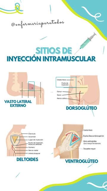 Infografía Sitios De Inyección María José Gomes Enfermeriaparatodos Udocz