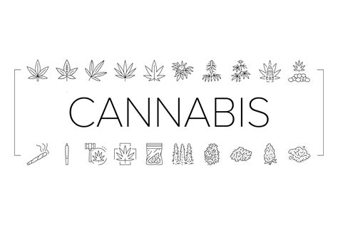 Cannabis Plant Leaf Weed Hemp Icons Set Graphic By Stockvectorwin