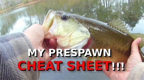 The TRUTH About The BEST Lures For Prespawn Bass Fishing YouTube