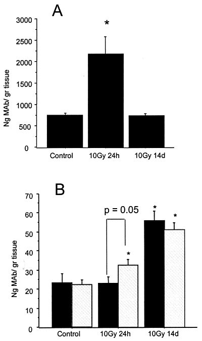 Relative Roles Of Icam And Vcam In The Pathogenesis Of Experimental