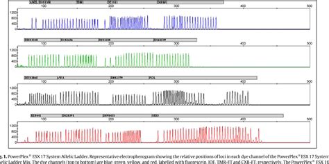 Figure 1 From Developmental Validation Of The Powerplex® Esx 16 And Powerplex® Esx 17 Systems