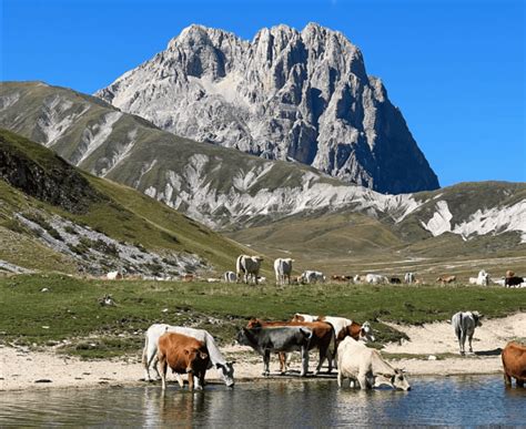 Idee Per Le Vacanze Il Cammino Del Gran Sasso Si Rifà Il Look Gambero Rosso