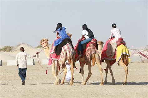 Desert Tour Camel Ride - Free photo on Pixabay - Pixabay