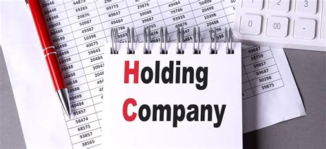 holding company  brazil complete assistance