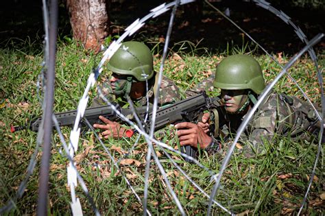 Certifica O Da Brigada De Infantaria De Selva Foi Conclu Da