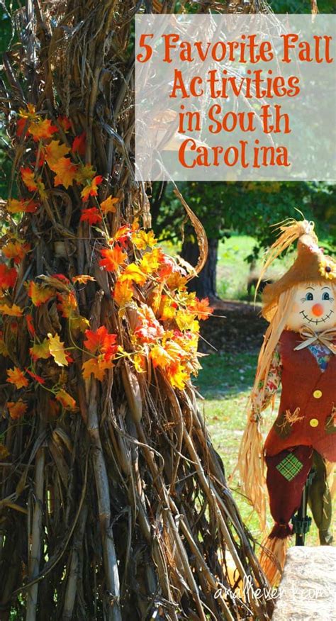 5 Favorite Fall Activities in South Carolina - An Alli Event