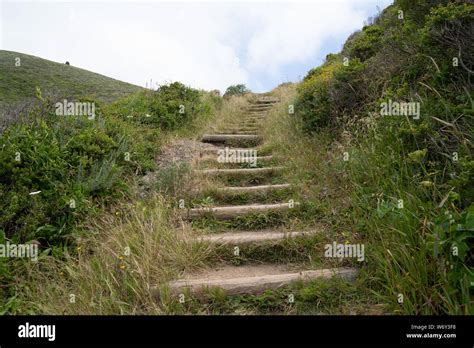 Wooden Outdoor Stairs On Dirt Hiking Path Overrun With Nature Leading