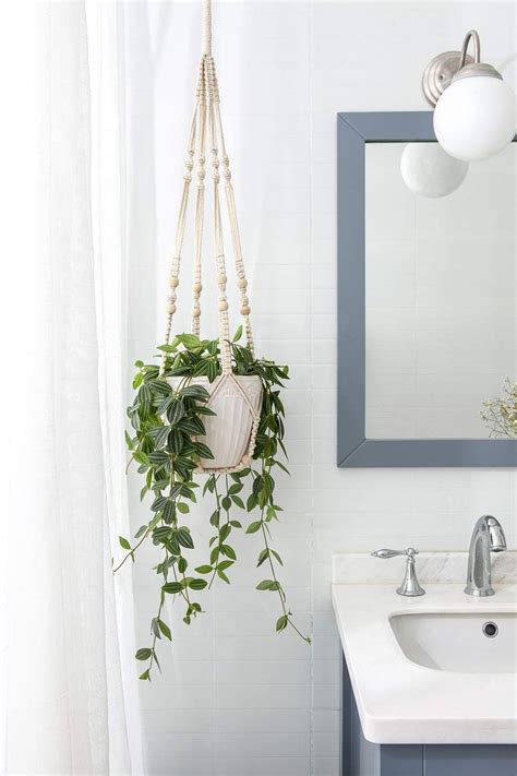 The best indoor hanging planters – Artofit