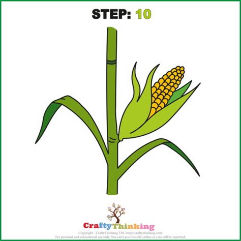 How To Draw A Corn Stalk Drawings Step By Step With Free Corn Printable