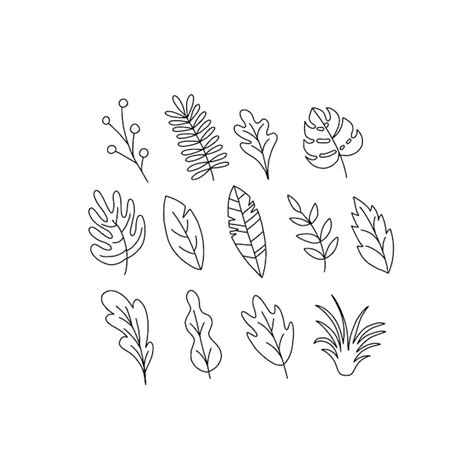 Premium Vector Leaf Handrawn Doodle Illustrations Vector Set