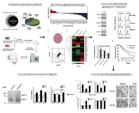 Prm靶向蛋白质组学 欧易生物