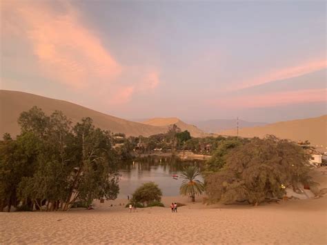 Vanuit Lima Ballestas Eilanden Huacachina En Wijngaard Tour